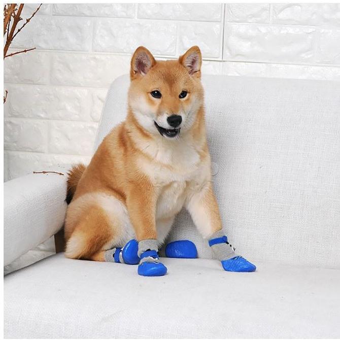犬 靴 靴下 室内散歩兼用 履かせやすい ドッグシューズ 犬用 犬