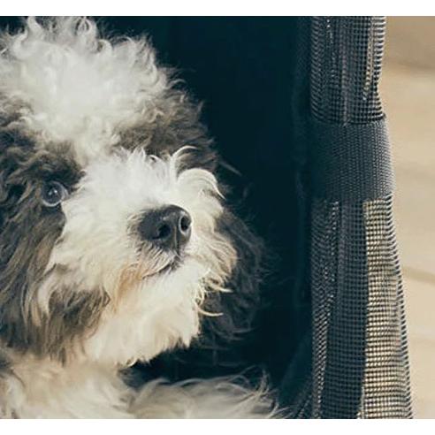 PETico ペットキャリー Mサイズ グレー : インテリア雑貨LeModeヤフー