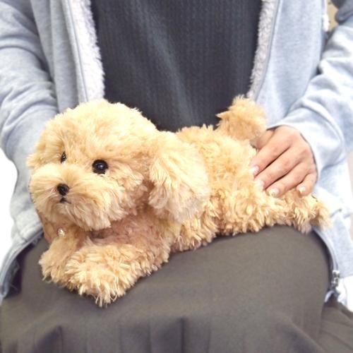 ぬいぐるみ ひざわんこ トイプードル ベージュ : インテリア雑貨LeMode