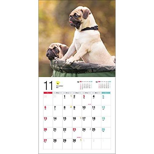 今季ブランド 22年 誠文堂新光社カレンダー パグ 100名様に1 000円分の図書カードをプレゼント カレンダー カレンダー Www We Job Com