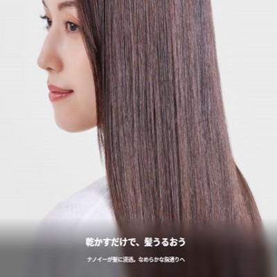 ナノケア パナソニック 折りたたみタイプ ナノイー nanocare セット