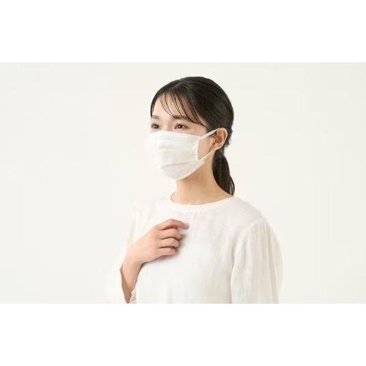 IRIS OHYAMA（アイリスオーヤマ） ナノエアー マスク 50枚 ふつう