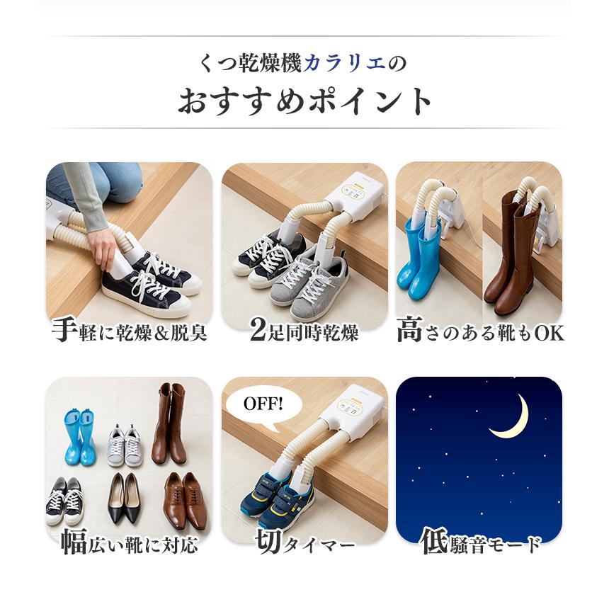 IRIS OHYAMA（アイリスオーヤマ） 靴乾燥機 小型 パワフル 除菌 脱臭