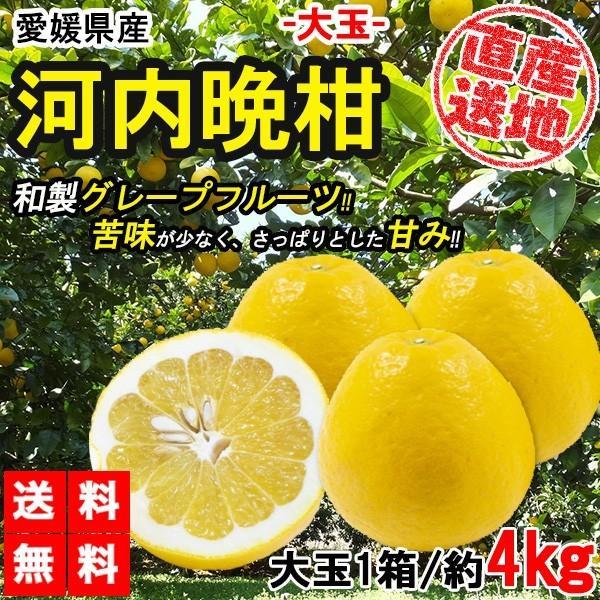 最大68 Offクーポン 河内晩柑 大玉 4kg 晩柑 ご家庭用 箱買い 柑橘 みかん フルーツ 果物 産地直送 愛媛県産