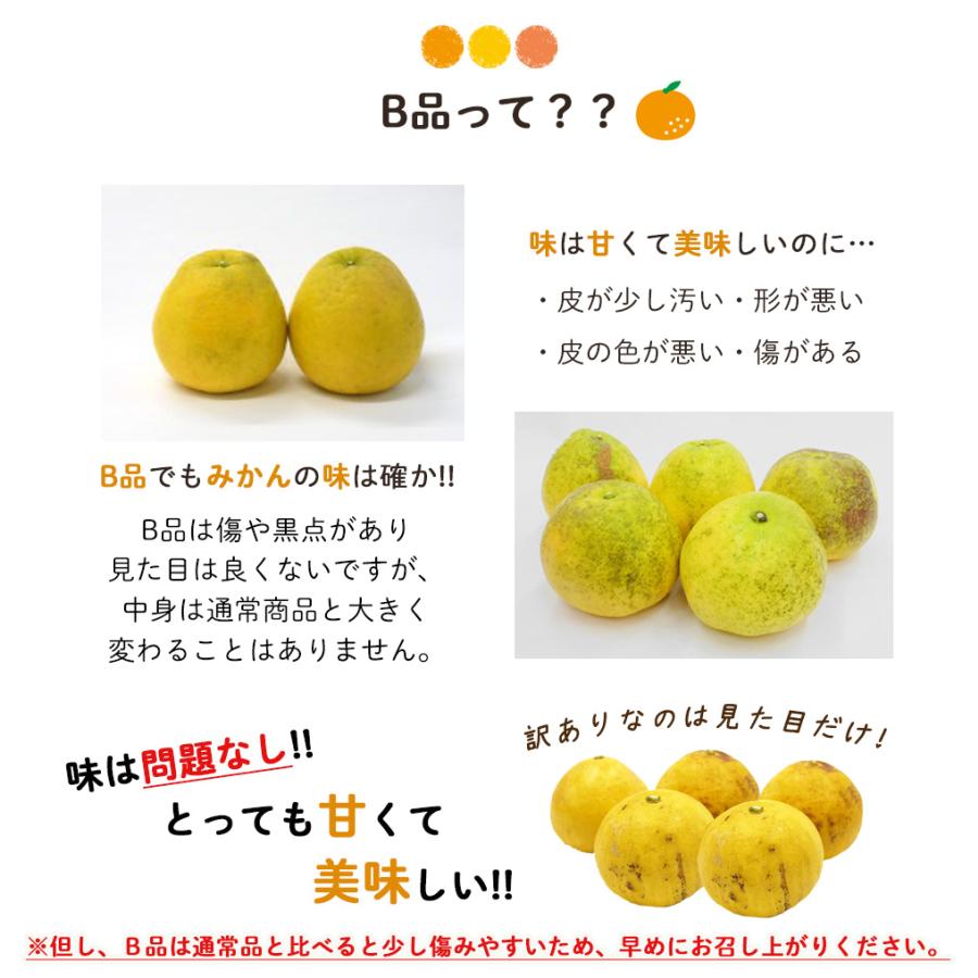 河内晩柑 訳あり 9kg 晩柑 ご家庭用 箱買い B品 サイズミックス 柑橘 みかん フルーツ 果物 産地直送 愛媛県産 YDF-018｜lemonno-ki｜07