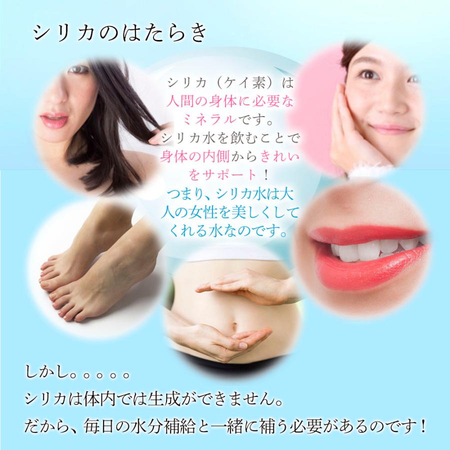 シリカ水 500ml 48本 高濃度シリカ水 シリカウォーター 理想のシリカ ミネラルウォーター 水 軟水 国産 鳥取県産 防災 備蓄 保存食 ポイント利用 |  | 03
