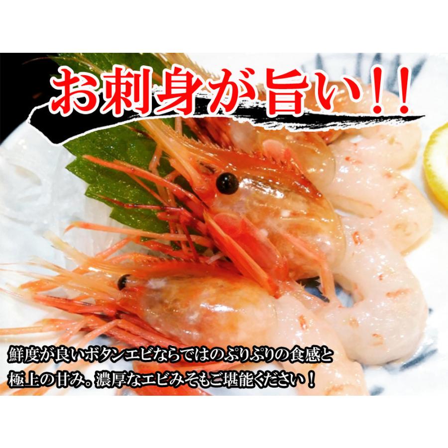 ボタンエビ 牡丹えび 特大 子持ちボタンエビ 500g 約8 9尾入り 送料無料 えび エビ 海老 有頭えび お刺身用 ロシア産 Shrimp R B500 レモンの木 通販 Yahoo ショッピング
