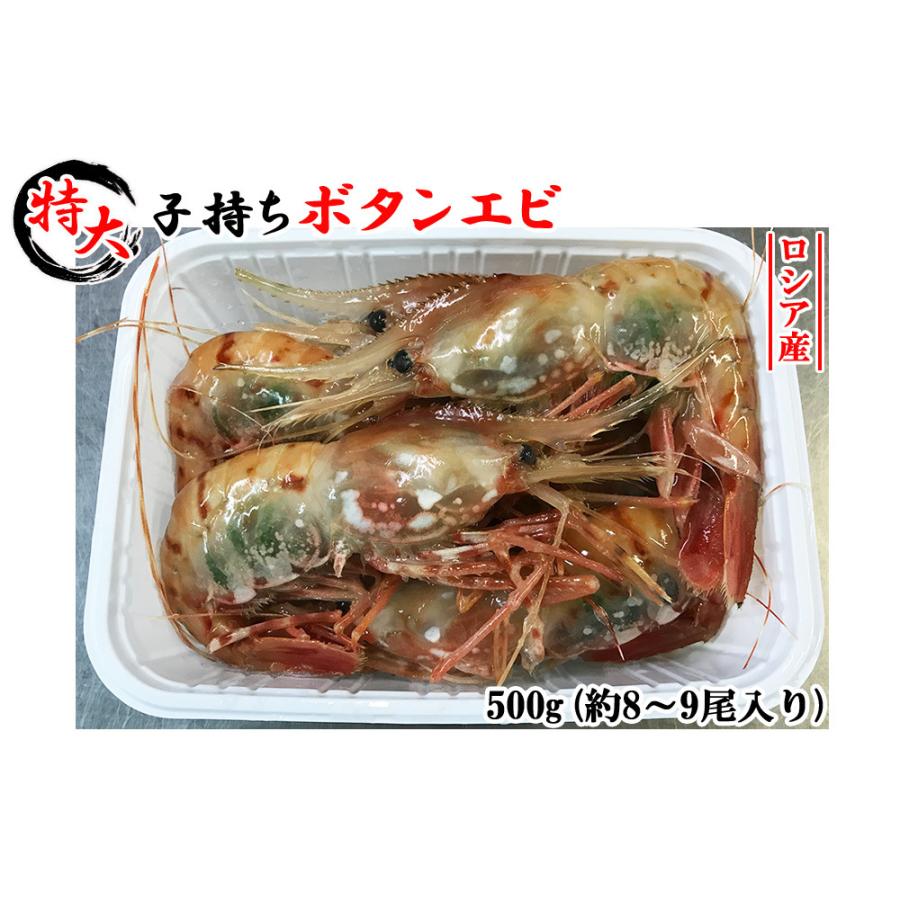 ボタンエビ 牡丹えび 特大 子持ちボタンエビ 500g 約8 9尾入り 送料無料 えび エビ 海老 有頭えび お刺身用 ロシア産 Shrimp R B500 レモンの木 通販 Yahoo ショッピング