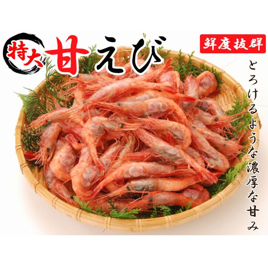 甘エビ 甘えび 子持ち 特大 1kg 約50 60尾入り 送料無料 船上凍結 えび エビ 海老 有頭えび 刺身用 ロシア産 Shrimp R S1 レモンの木 通販 Yahoo ショッピング