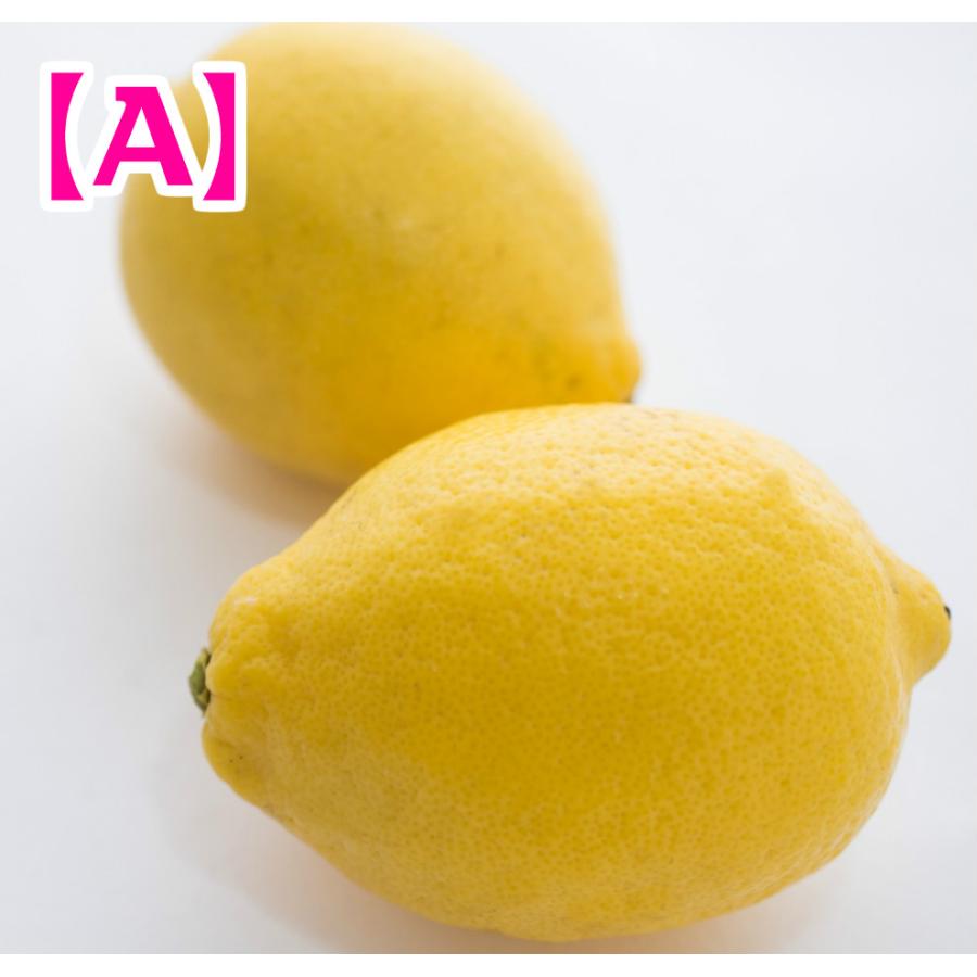 【限定価格セール！】 当店在庫してます 広島県産レモン A 3kg shitacome.sakura.ne.jp shitacome.sakura.ne.jp