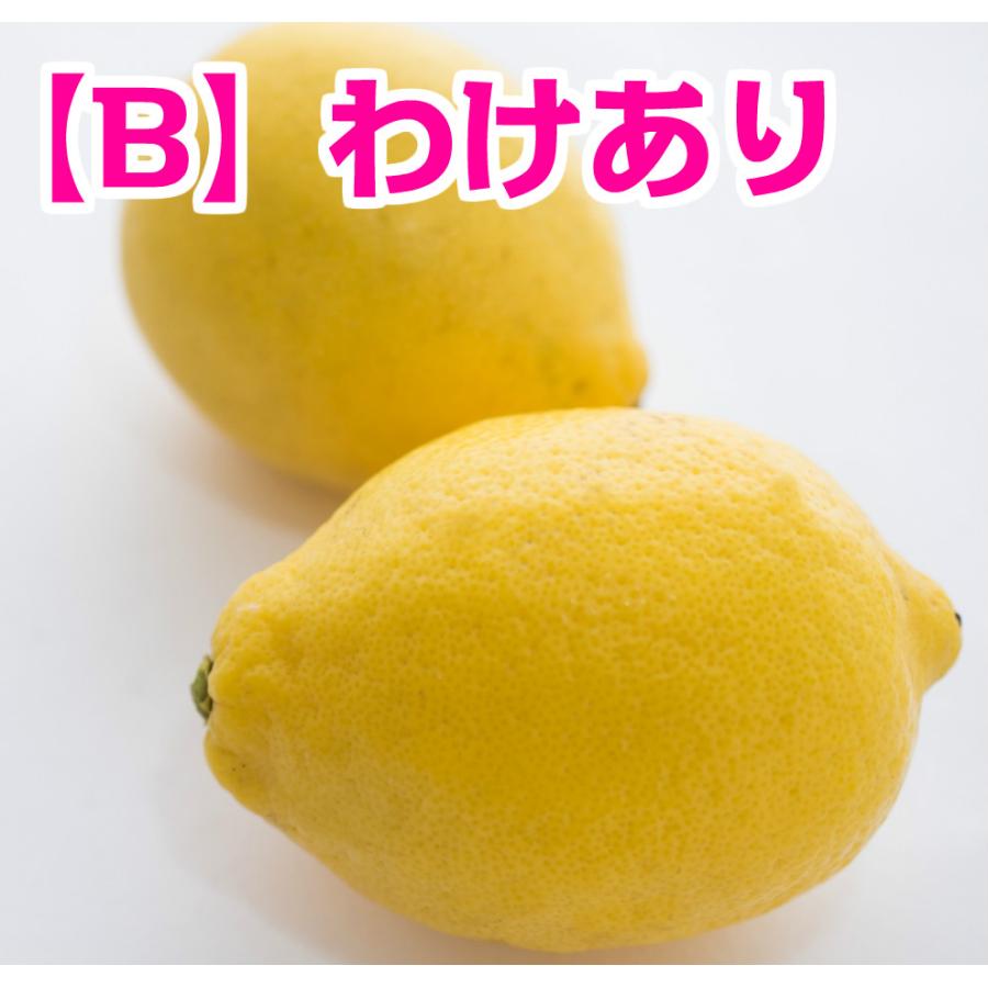 広島県産レモン【B】わけあり 3kg キズあり 送料無料 柑橘栽培に 広島県産レモン【B】わけあり 3kg キズあり 送料無料 柑橘栽培に