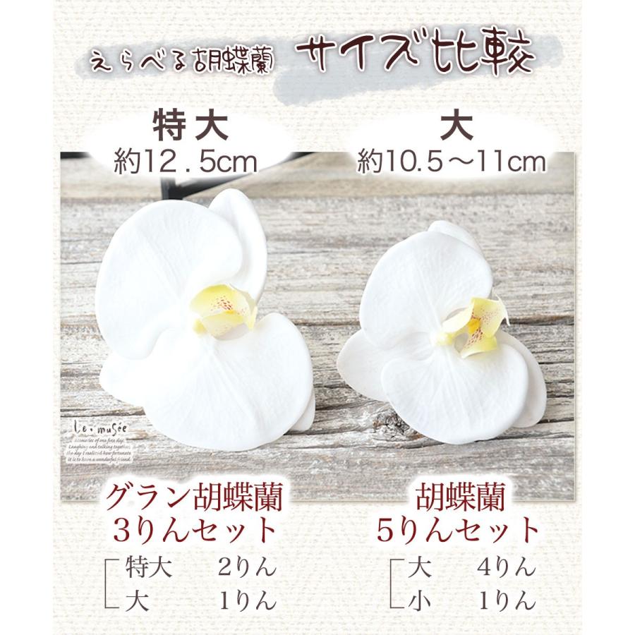 最新 袴 リボン 卒業式 髪飾り 和リボン胡蝶蘭 全5色 送料無料 Dprd Jatimprov Go Id