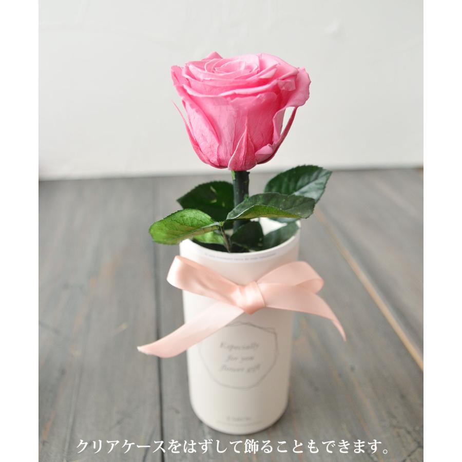 プリザーブドフラワー バラ 1輪 プリザーブド ローズ  プリザーブ バラ 花束 ブーケ 卒業 卒業式 卒園 退職 記念品 小さい 誕生日 |  | 03
