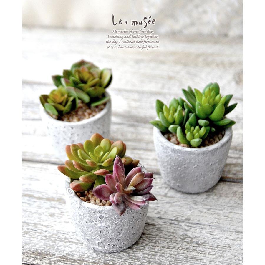 観葉植物 フェイクグリーン 多肉植物 卓上 ミニポット 鉢 おしゃれ インテリア ギフト プレゼント 造花 全3種類 |  | 01