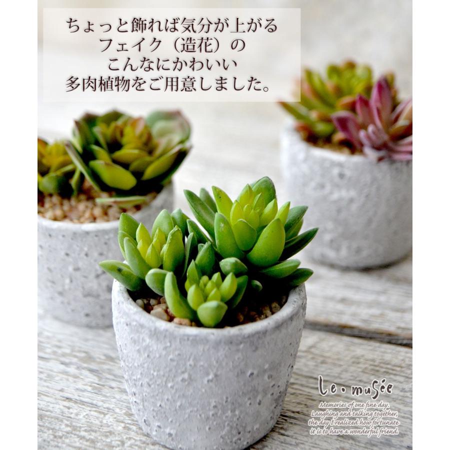 観葉植物 フェイクグリーン 多肉植物 卓上 ミニポット 鉢 おしゃれ インテリア ギフト プレゼント 造花 全3種類 |  | 02