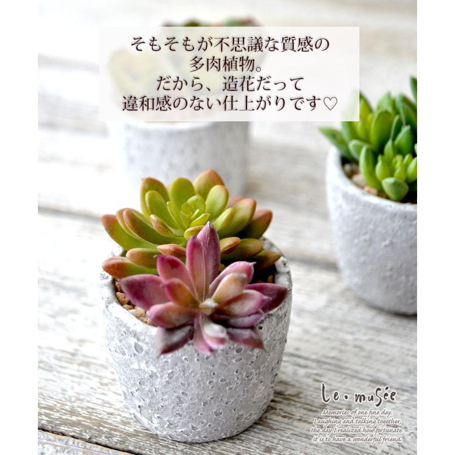 観葉植物 フェイクグリーン 多肉植物 卓上 ミニポット 鉢 おしゃれ インテリア ギフト プレゼント 造花 全3種類 |  | 03