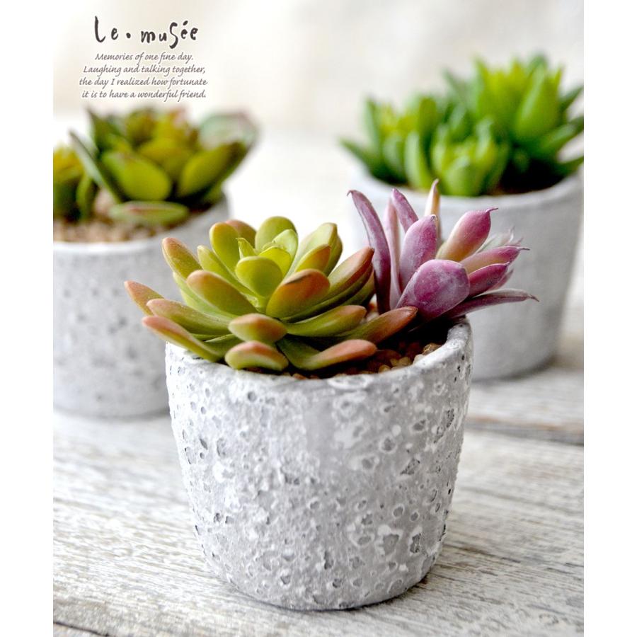 観葉植物 フェイクグリーン 多肉植物 卓上 ミニポット 鉢 おしゃれ インテリア ギフト プレゼント 造花 全3種類 |  | 08