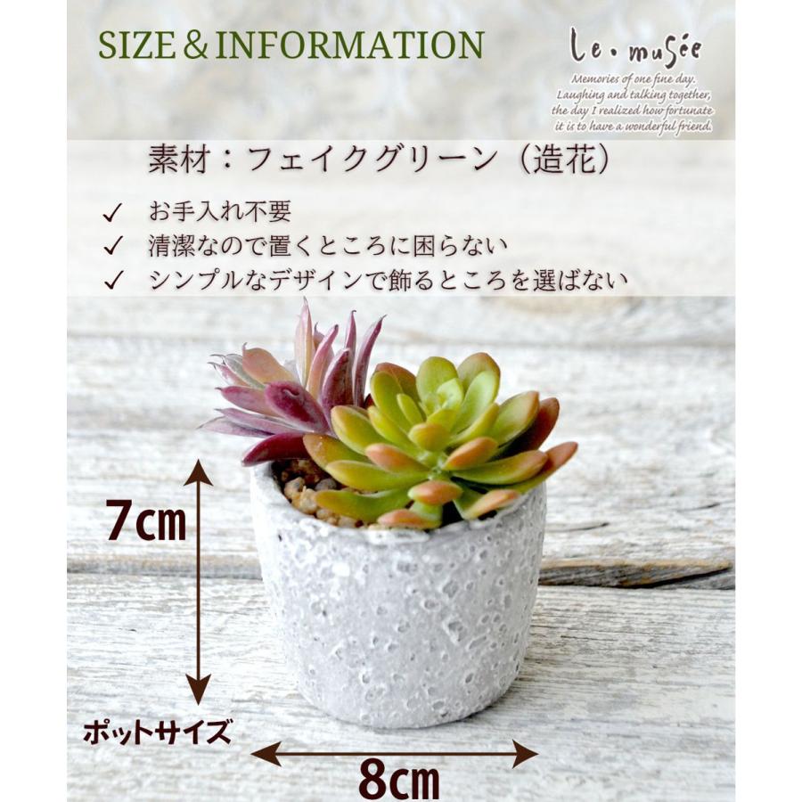 観葉植物 フェイクグリーン 多肉植物 卓上 ミニポット 鉢 おしゃれ インテリア ギフト プレゼント 造花 全3種類 |  | 09