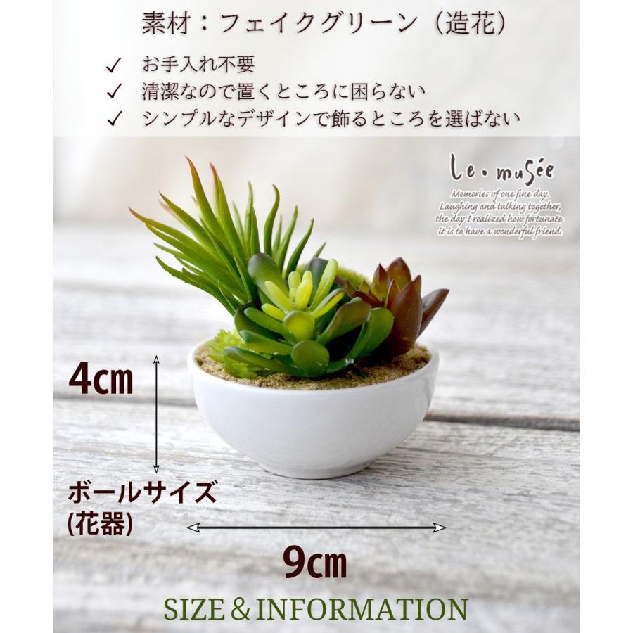 観葉植物 フェイクグリーン 多肉植物 寄植え セダム 卓上 ミニボール 鉢 おしゃれ インテリア ギフト プレゼント 造花 |  | 05