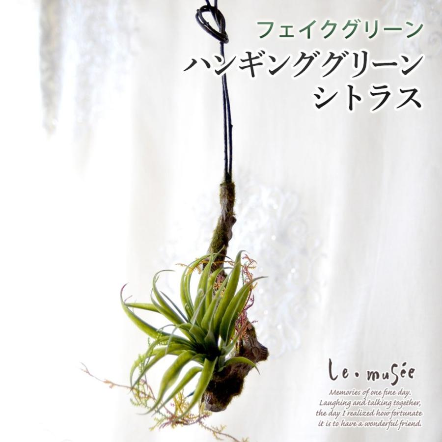 観葉植物 造花 ハンギンググリーン フェイク おしゃれ インテリア リアル 壁掛け ミニ シトラス | 