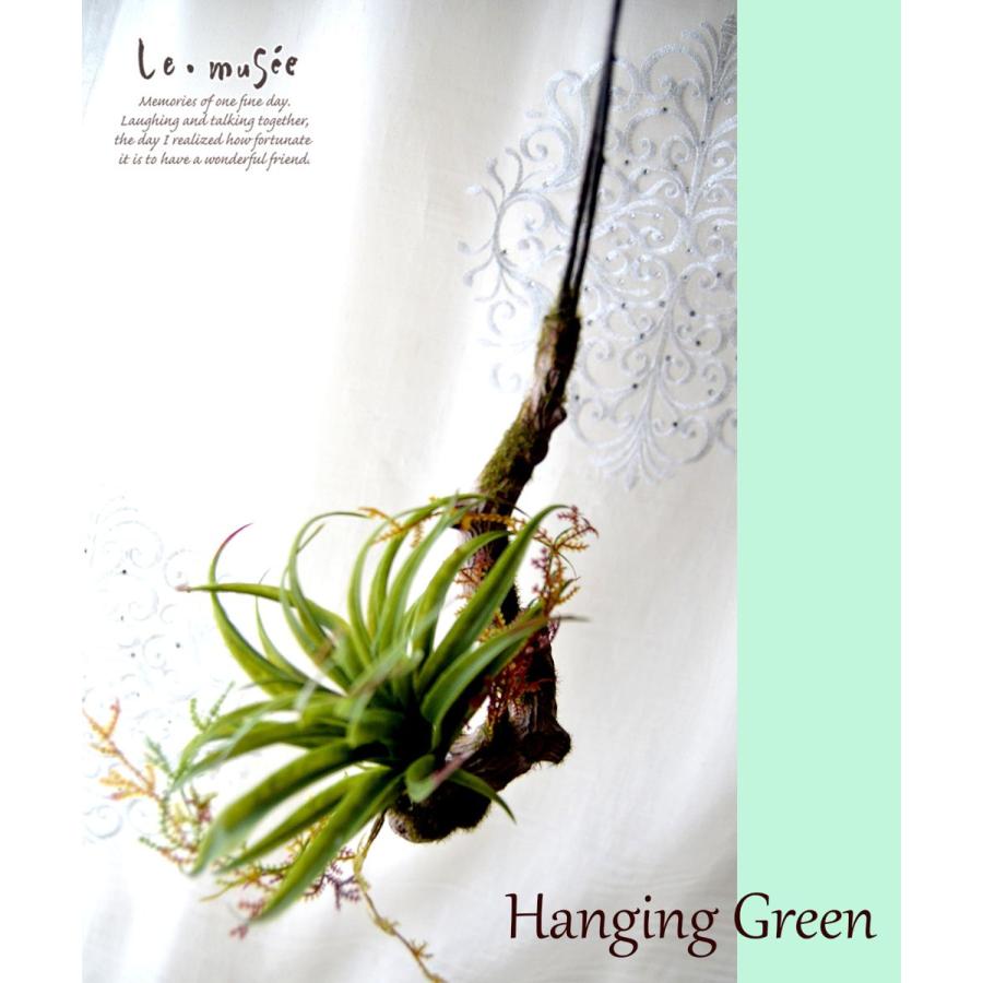 観葉植物 造花 ハンギンググリーン フェイク おしゃれ インテリア リアル 壁掛け ミニ シトラス |  | 10