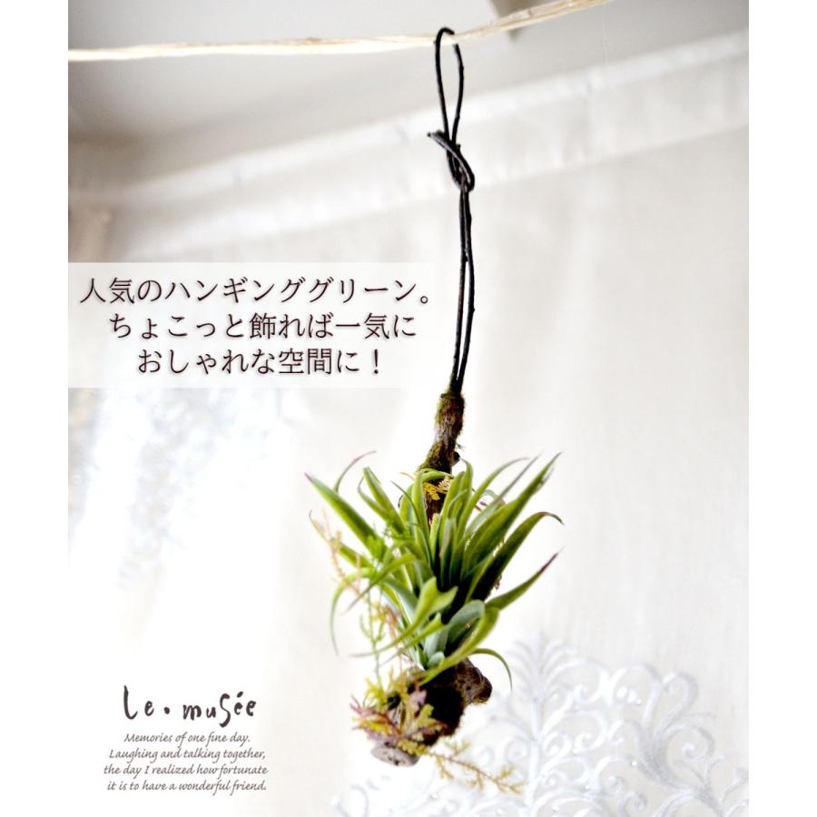 観葉植物 造花 ハンギンググリーン フェイク おしゃれ インテリア リアル 壁掛け ミニ シトラス |  | 02
