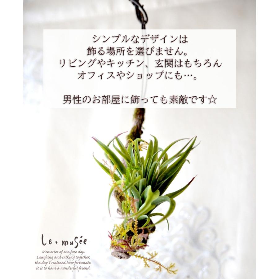 観葉植物 造花 ハンギンググリーン フェイク おしゃれ インテリア リアル 壁掛け ミニ シトラス |  | 03
