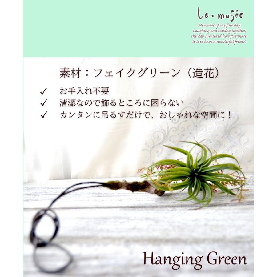 観葉植物 造花 ハンギンググリーン フェイク おしゃれ インテリア リアル 壁掛け ミニ シトラス |  | 04