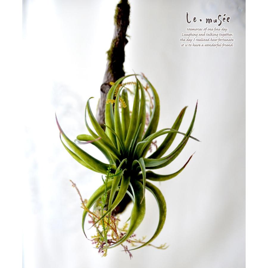 観葉植物 造花 ハンギンググリーン フェイク おしゃれ インテリア リアル 壁掛け ミニ シトラス |  | 05