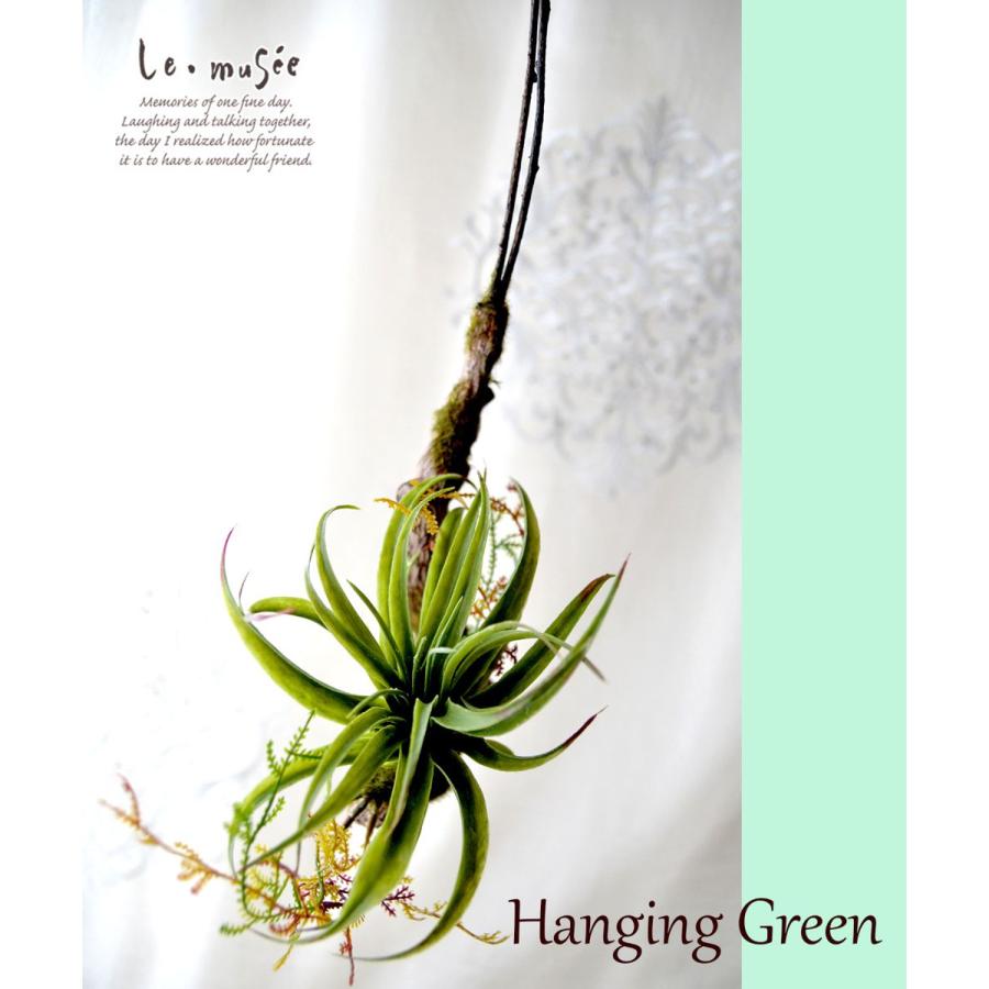 観葉植物 造花 ハンギンググリーン フェイク おしゃれ インテリア リアル 壁掛け ミニ シトラス |  | 09