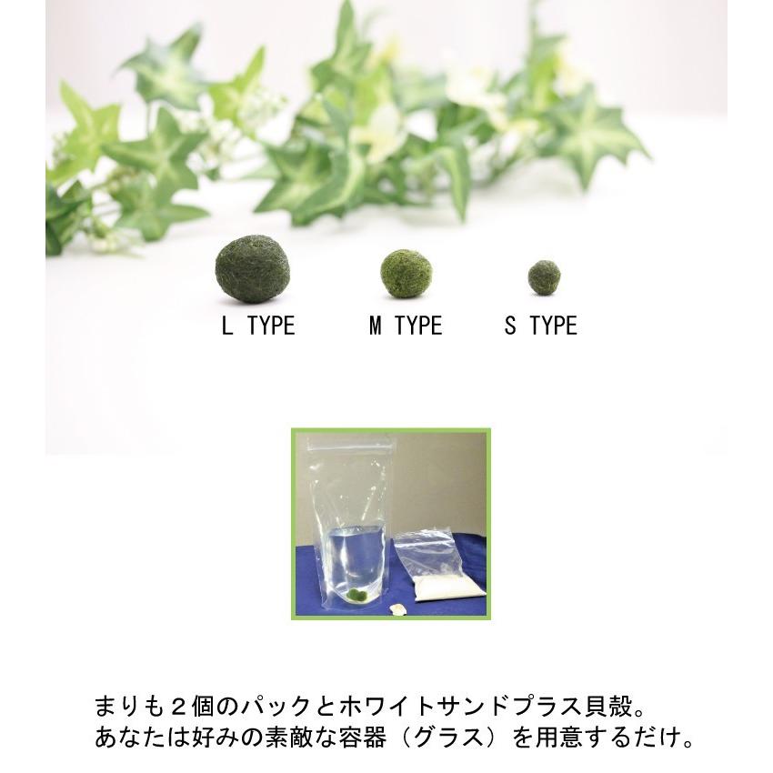まりも3点セット M（大）タイプ ＋光る石付き 全国送料無料 : lenpro