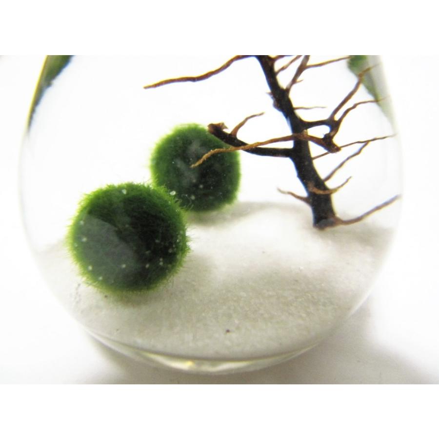 小さな電球まりも 44ffggh Lenpro Shop 通販 Yahoo ショッピング