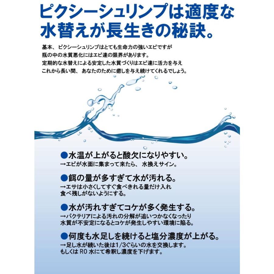 飼育水 マイクロウオーター 癒しエビ/ピクシーシュリンプ用 お得用3個 送料無料|lenproshop|02