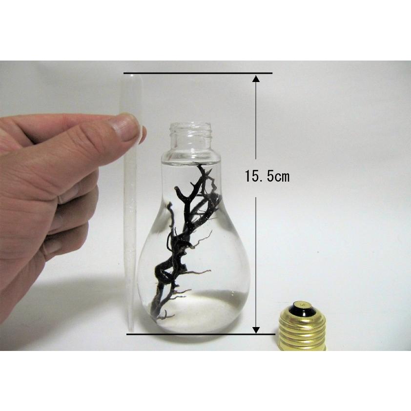 ピクシーシュリンプ 癒しエビ用最適 スポイト L-スポイト |  | 01