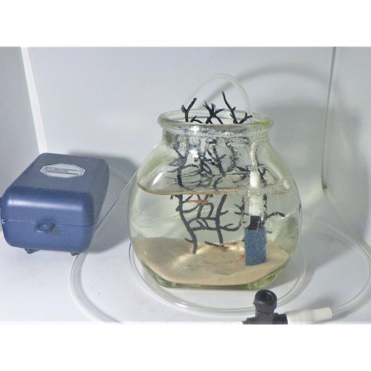 ピクシーエアレーション | 