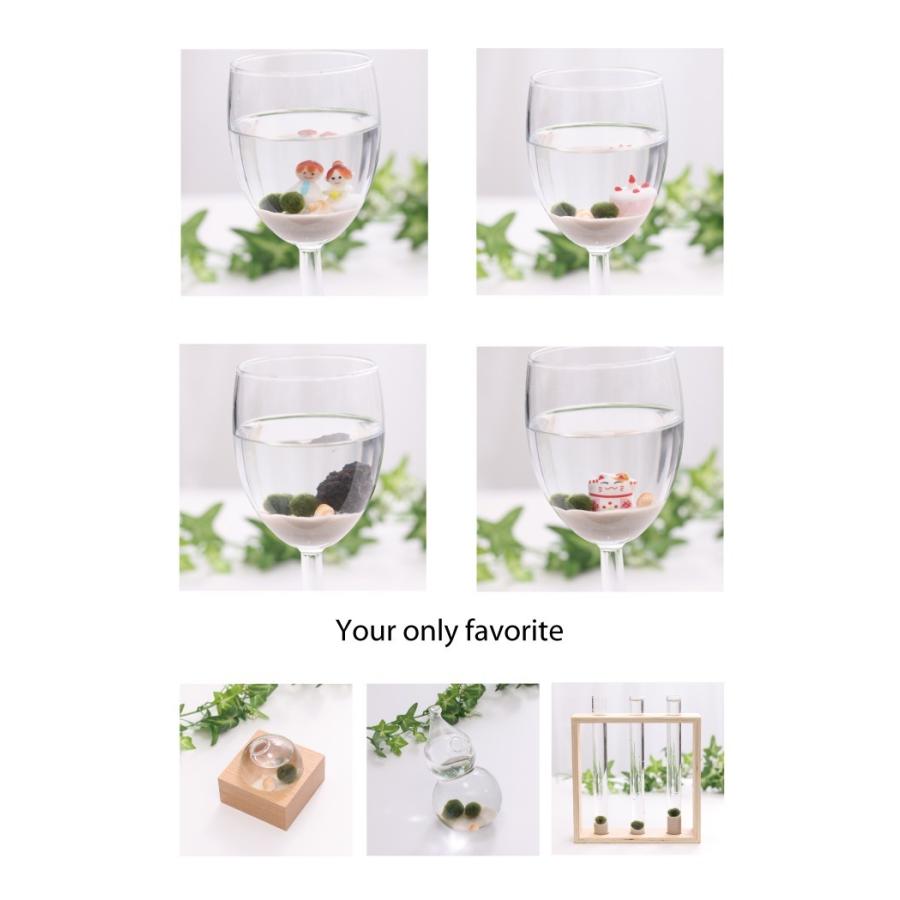 まりも L Type 特大サイズ 21ミリ 1個 最大73 オフ