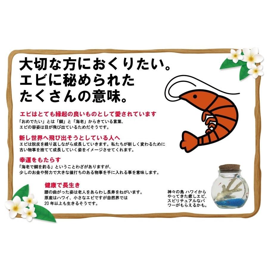 癒しエビ/ピクシーシュリンプ　大瓶ビーズ　緑　｜lenproshop｜04
