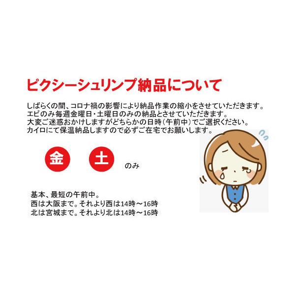 癒しエビ ピクシーシュリンプ 電球タイプ Iyashiebi 009 Lenpro Shop 通販 Yahoo ショッピング