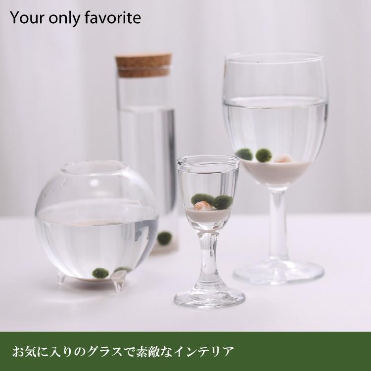 まりも3点セット S（標準）タイプ 光る石付き 全国送料無料 : lenpro
