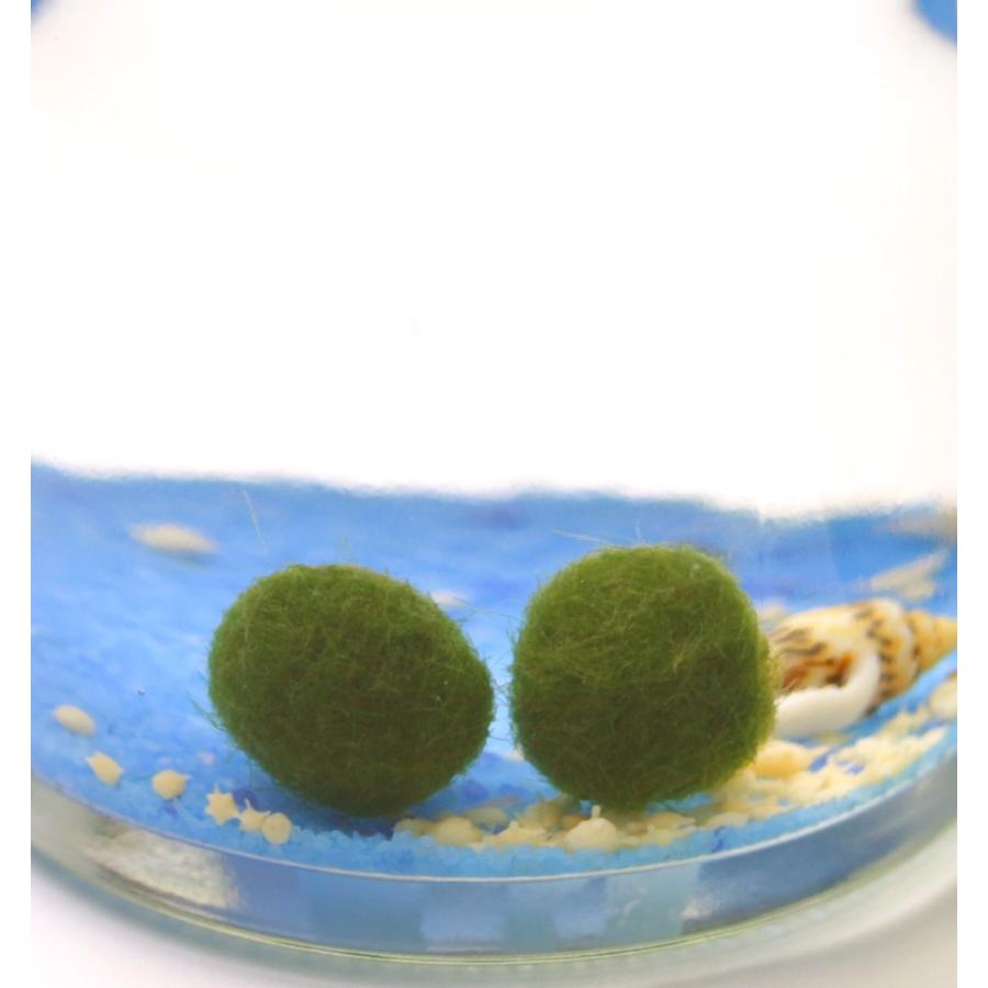 星の砂まりも 青砂 Marimo002 Lenpro Shop 通販 Yahoo ショッピング