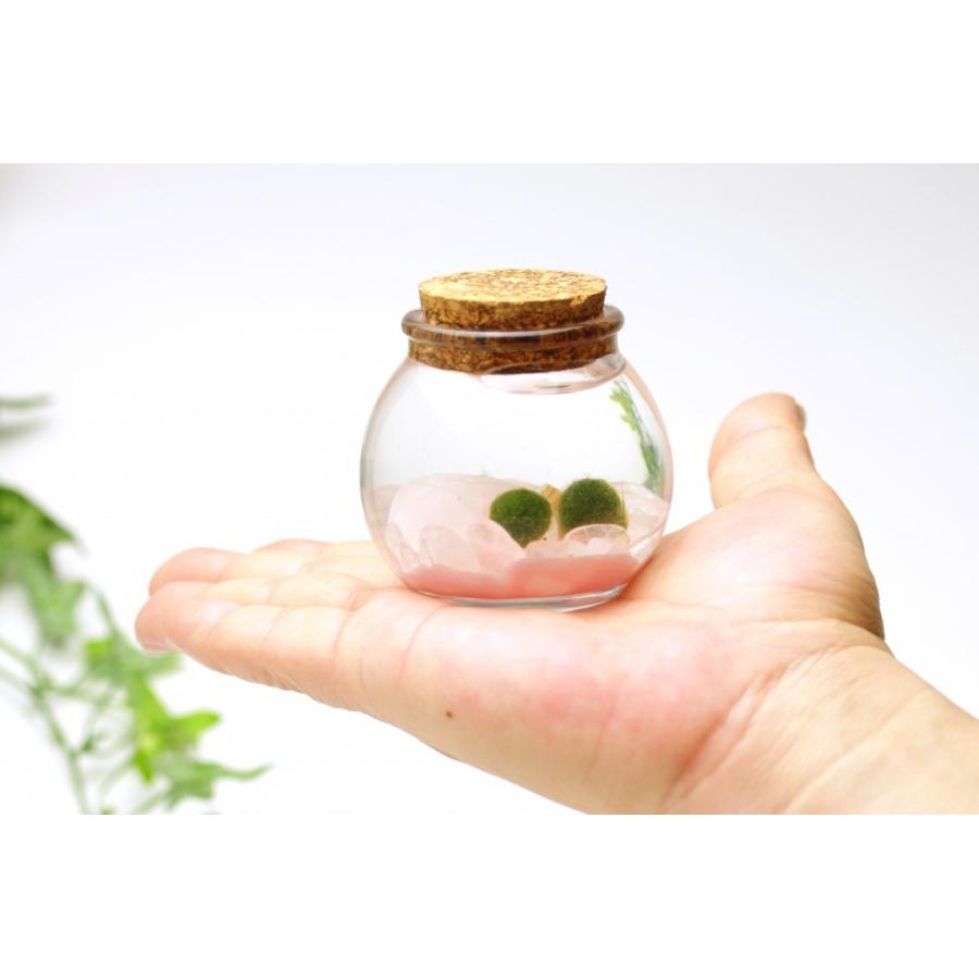 星の砂まりも 青砂 Marimo002 Lenpro Shop 通販 Yahoo ショッピング