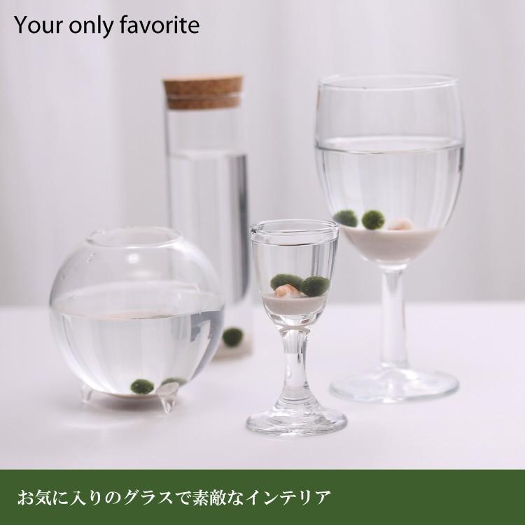 まりも S TYPE（標準サイズ）1個 : lenpro shop - 通販 - Yahoo