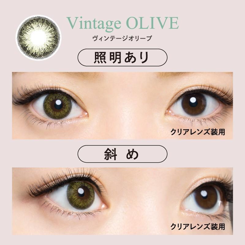 エンジェルカラー バンビシリーズ ヴィンテージワンデー ヴィンテージオリーブ 10枚 2箱 送料無料 カラコン 1day 度あり Tg1dacbvol10 2 コンタクト通販 レンズアップル 通販 Yahoo ショッピング