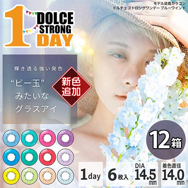人気特価激安 ドルチェ ストロングワンデー 6枚入り 12箱 カラコン カラーコンタクトレンズ 1day 度あり 度付き 度なし Dolce お試し 保障できる Turningheadskennel Com
