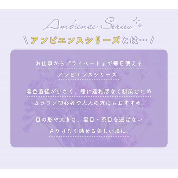 業界最大規模 度なし 度あり リッチスタンダードアンビエンスシリーズ カラーコンタクトレンズ カラコン Tmrix 6箱 6枚入 2ウィーク 2week 買い激安 Hatzbs Org