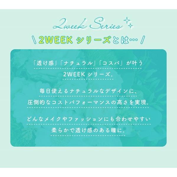 カラコン カラーコンタクトレンズ 度あり 度なし 2ウィーク リッチスタンダード 2week 6枚入 1箱｜lens-deli｜05