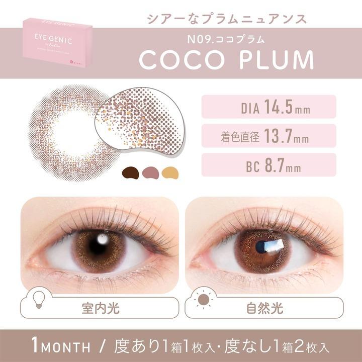 Ever Color（エバーカラー） 4箱 カラコン マンスリー 1ヶ月 度あり