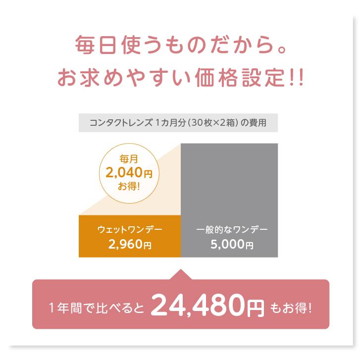 送料無料 ウェットワンデー 2箱セット 1箱30枚 コンタクトレンズ 1day Uvカット うるおい 1日使い捨て コンタクト S Wet1d 2p レンズポーター ヤフー店 通販 Yahoo ショッピング