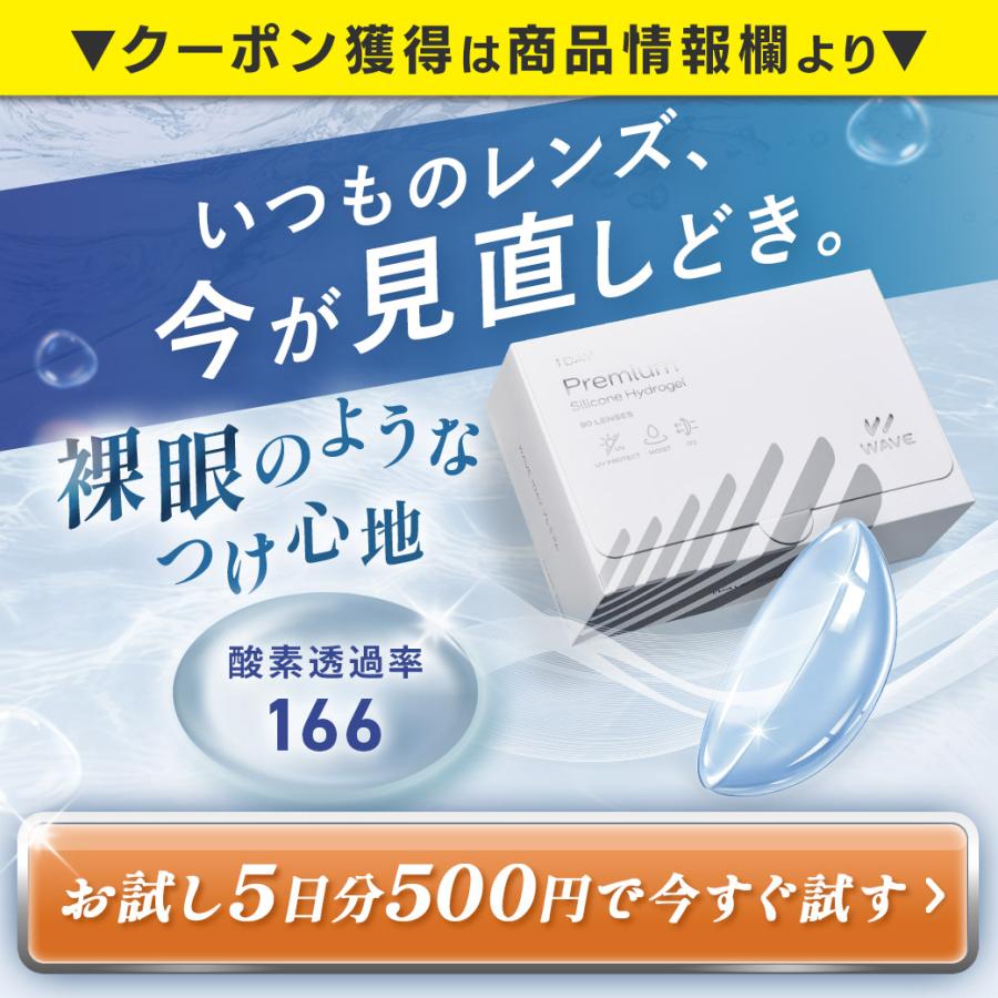 Medalist メダリストワンデープラス マキシボックス 90枚 2箱 送料無料