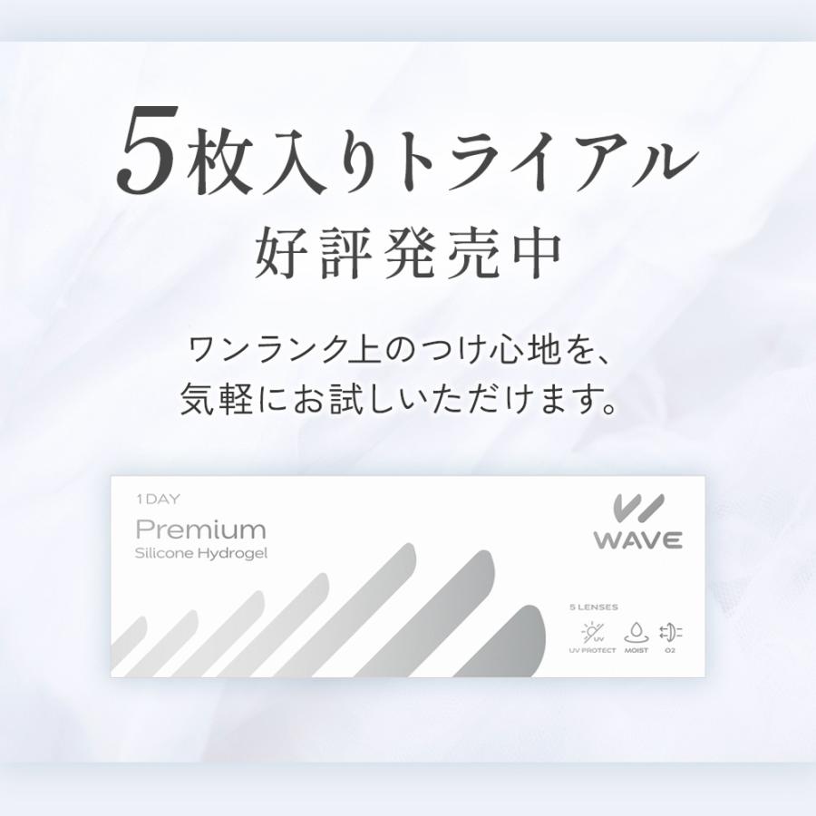 WAVE（ウェイブ） コンタクトレンズ 1DAY コンタクト 【30枚2箱